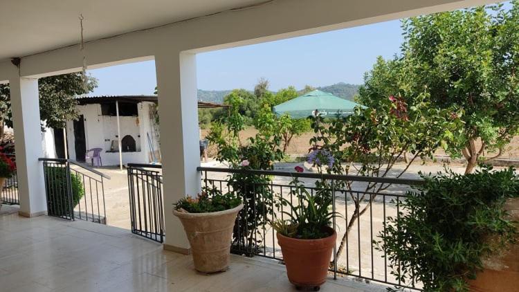 Mallios Country House Near אולימפיה מראה חיצוני תמונה