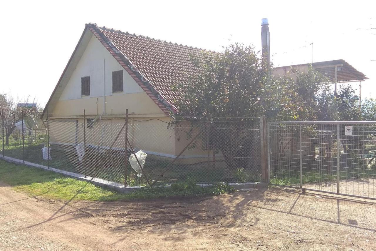 Mallios Country House Near אולימפיה מראה חיצוני תמונה